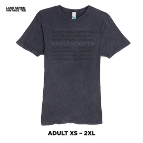 Vintage Wash Black Premium T-Shirt